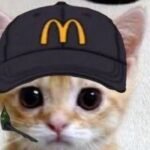 GeorgiySelvestrov, Polymarket user