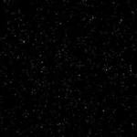 Thonker Polymarket user Profile