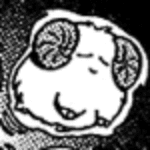 SheepToken Polymarket User Profile